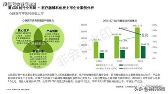 2019科創(chuàng)獨(dú)角獸研究報告 信息技術(shù)咨詢服務(wù)