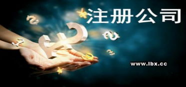 成都辦理網絡文化經營許可證的條件與流程詳解